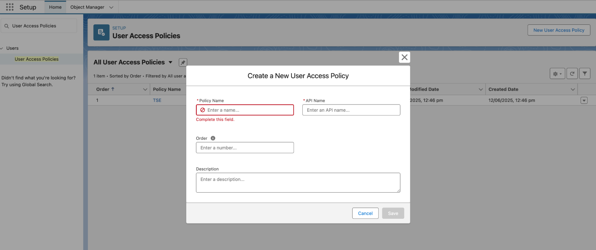 Salesforce Create a New User Access Policy popup