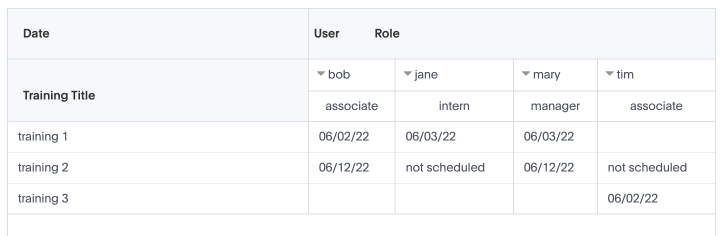 Example of pivot table with attribute in cells
